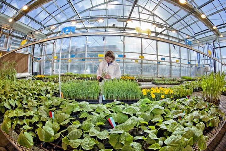 2012-02-FMCCorporation1