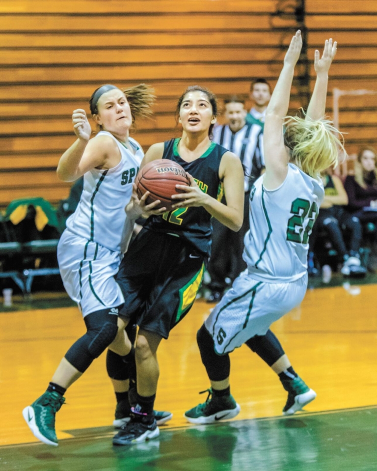 Sweeney, Agarwal help lead West Windsor-Plainsboro South girls’ basketball