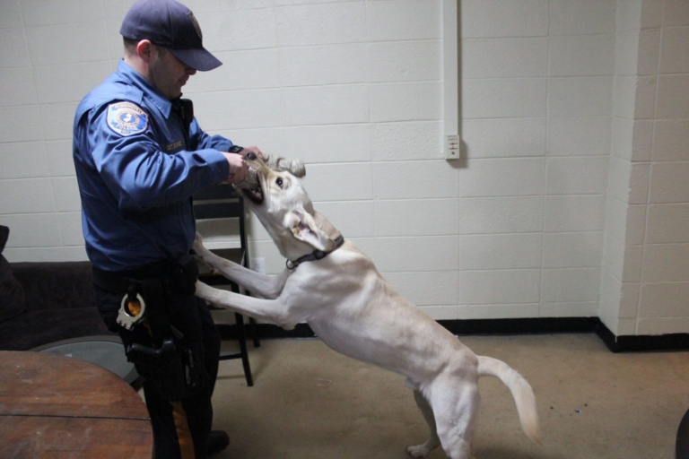 Robbinsville K9 officer leads new approach to drug intervention efforts