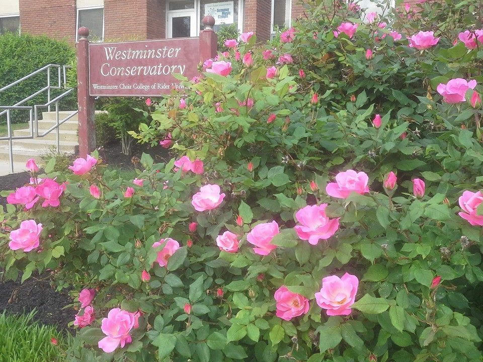 10556330_769314383119135_1287321879669734693_n