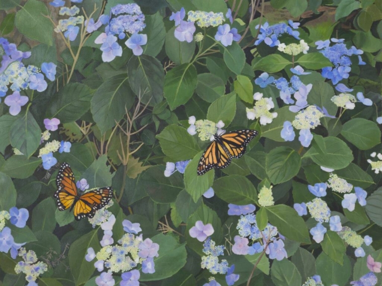 Fight in the Museum: 12 questions with Dallas Piotrowski