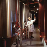 A Triumph of brewing