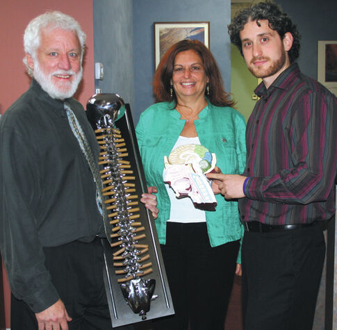 Chiropractors work as a family