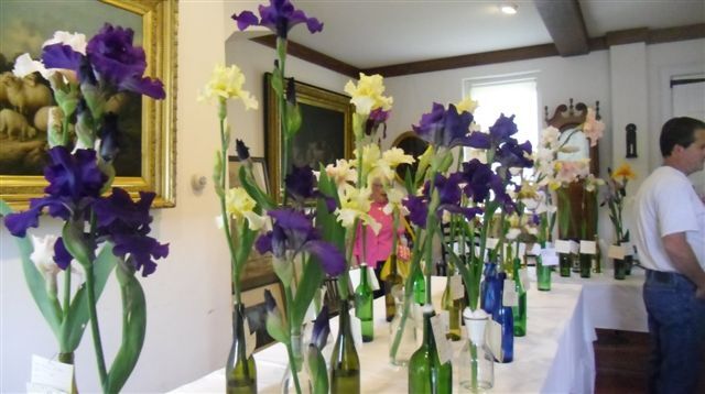 Irises set to bloom at 16th annual festival