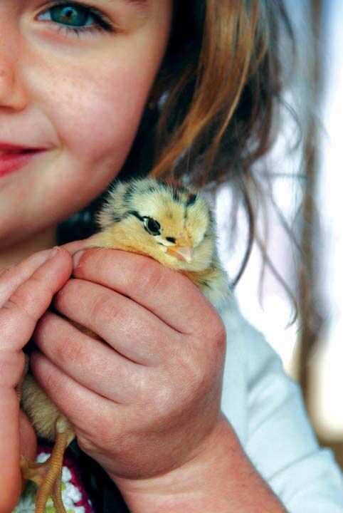 2012-06-BlueMoonAcres