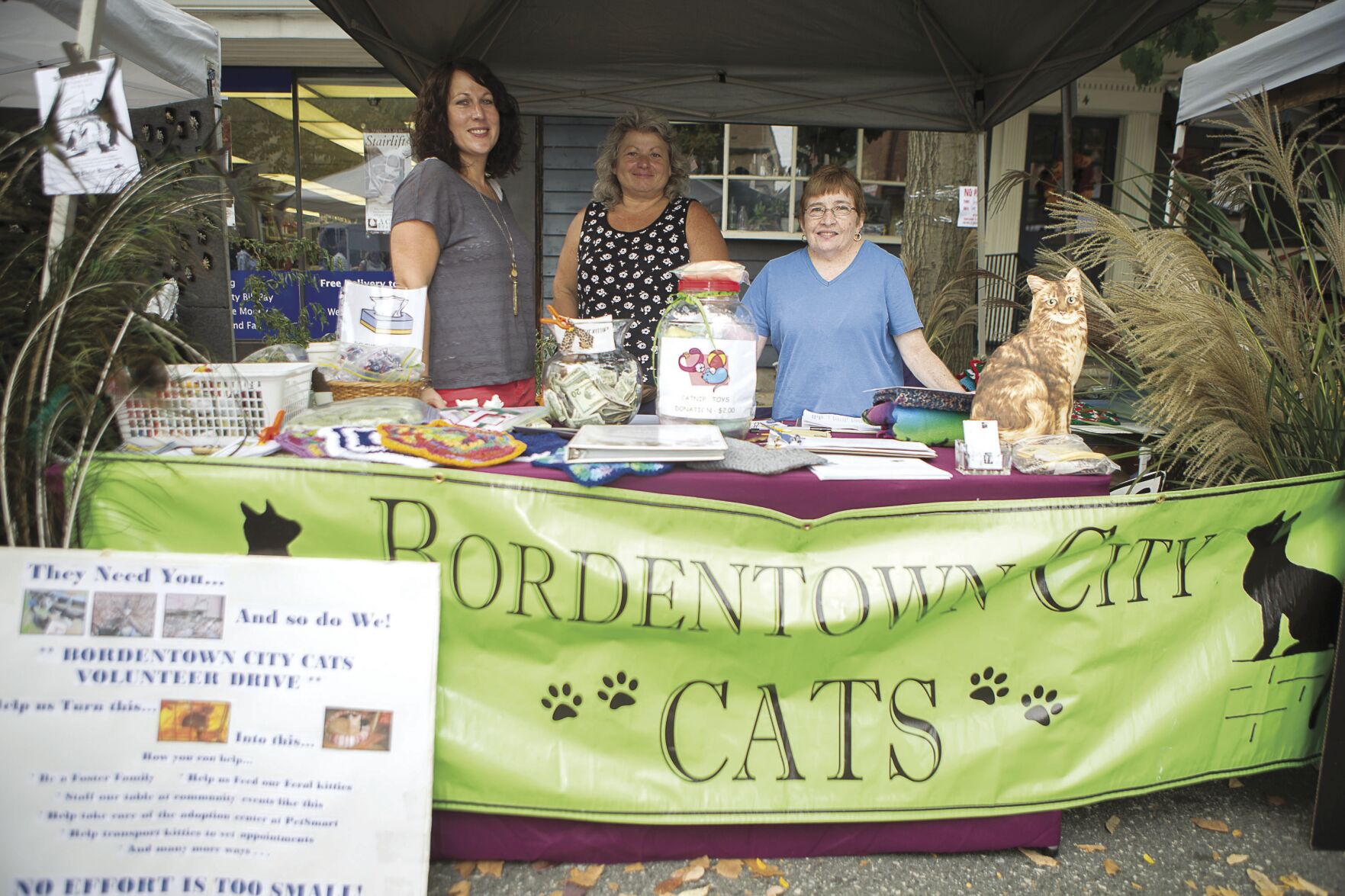 Bordentown City Cats keep streets feline friendly
