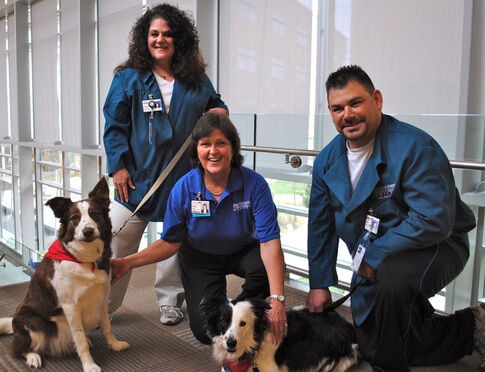 web1_2013-05-RWJ-Therapy-Dogs.jpg