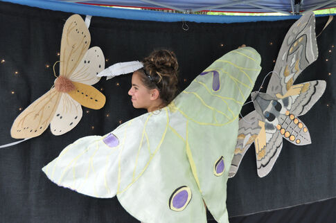 web1_2013-08-Insect-Festival-.jpg