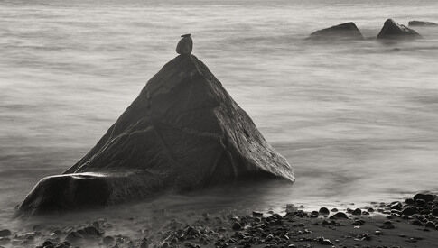 web1_2013-09-HE-Galley-14-Ocean-Zen.jpg