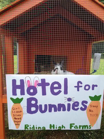 web1_2013-10-RA-Hotel-for-Bunnies.jpg