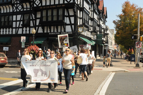 web1_2013-11-PE-Elephant-March-.jpg