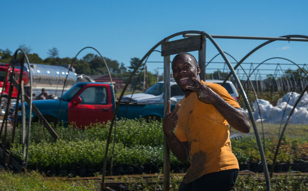Fun runners tackle farm obstacles
