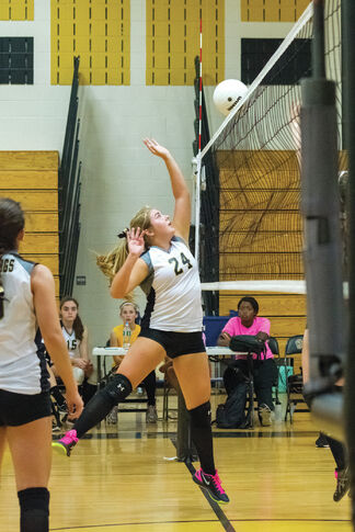 web1_2013-11-HE-Shannon-Harney-volleyball.jpg