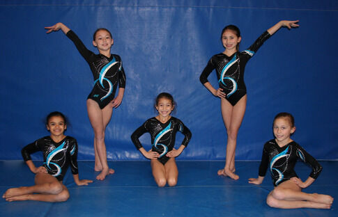 web1_2014-04-Gymnastics-State-Championship.jpg