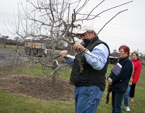 web1_2014-04-Terhune-Tree-Pruning-Class.jpg