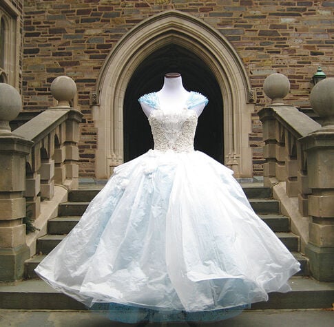 web1_2014-04-WEB-Cinderella-Dress.jpg