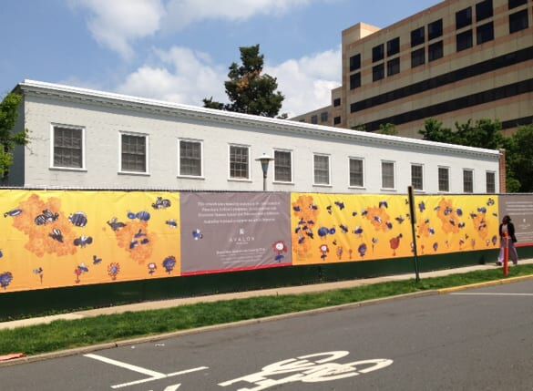 2017 07 PE ACP Bee Banner