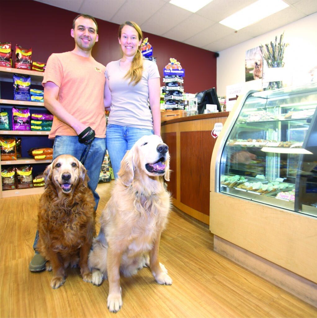 2014 06 HP Bag of Bones