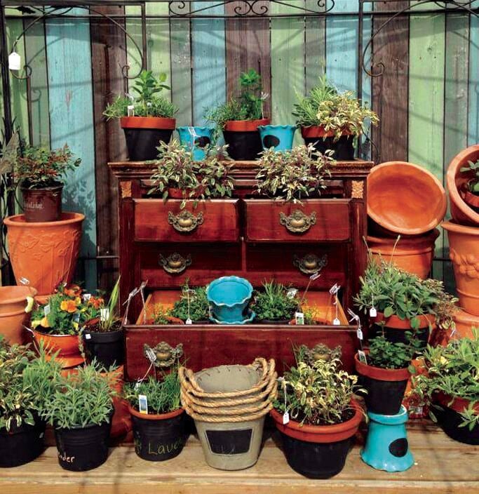 2014 06 HP Dragonfly