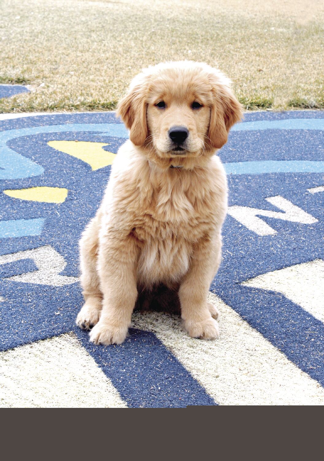 Trenton Thunder prepare for the year of Rookie