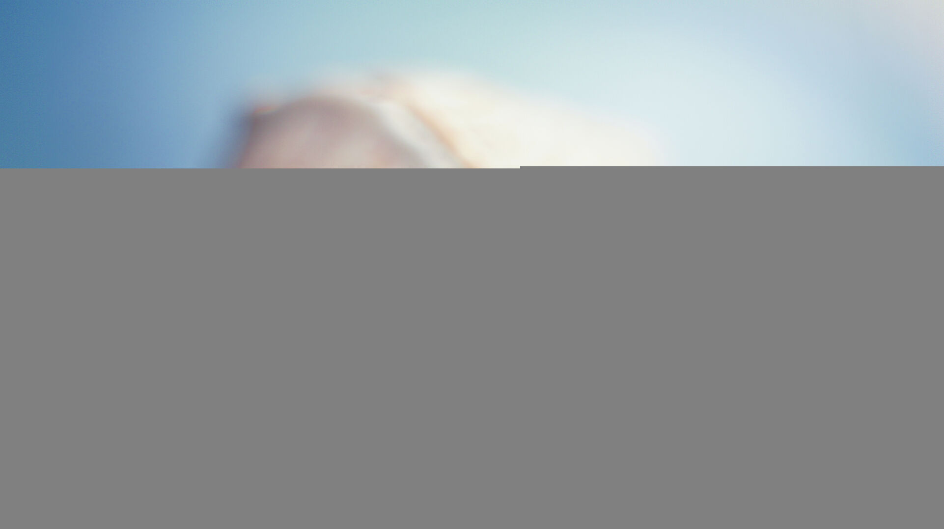 Local gallery to display Shells exhibition