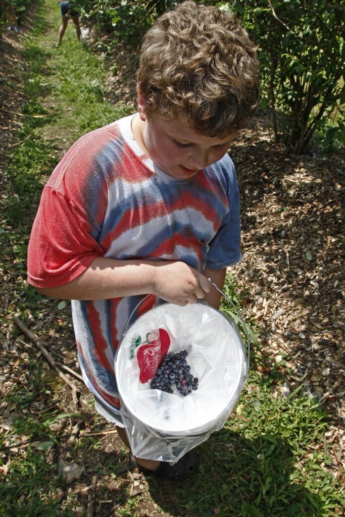 Terhune Orchards Blueberry Bash