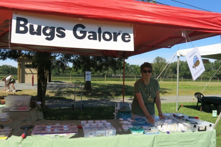 Annual Insect Festival set for Sept. 6