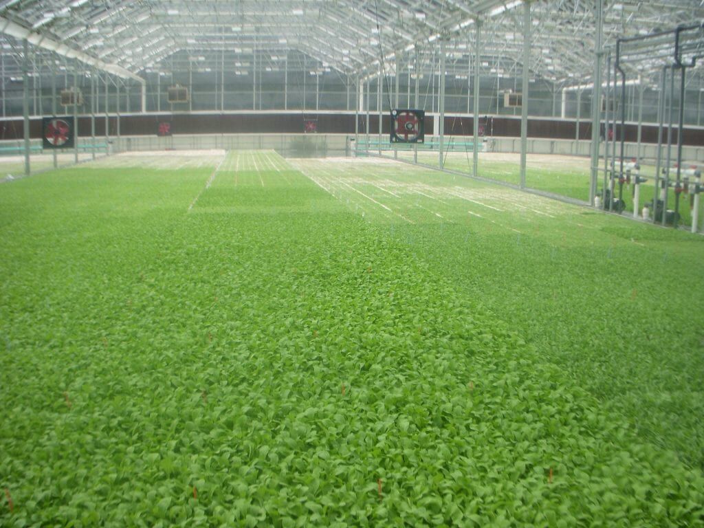 2014-09-Gardening-Adventures-1