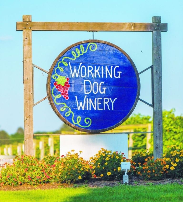 Wining and dining at area vineyards