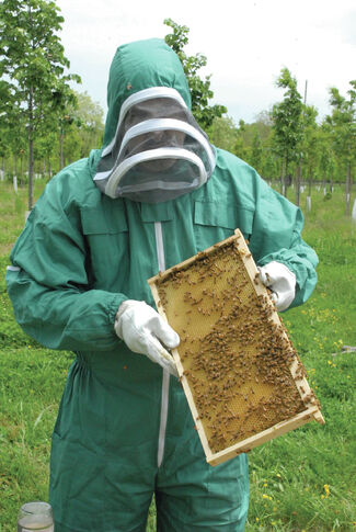 web1_2014-09-LG-Beekeeper.jpg