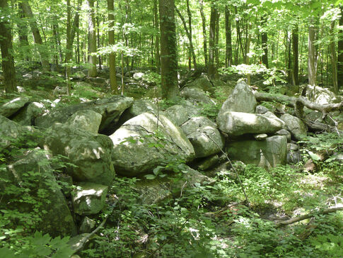 D&R Greenway to explore NJ geology on field trip