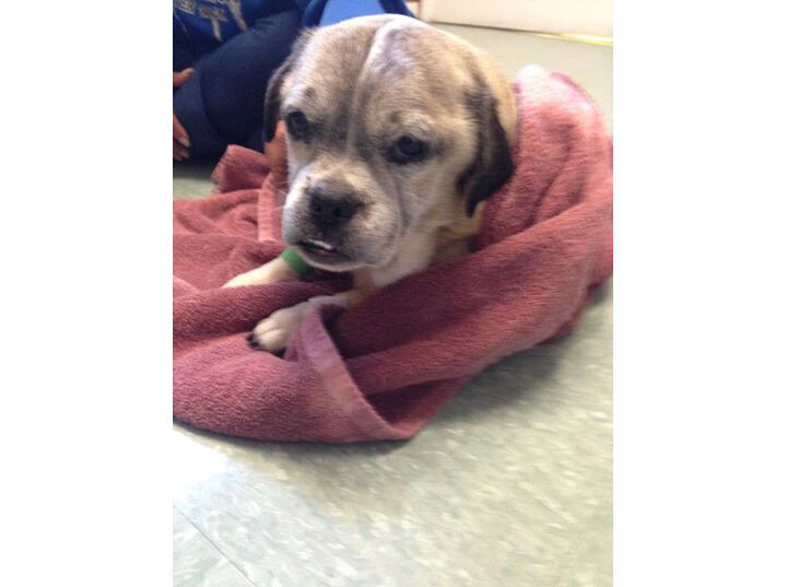 Donations needed to help survivors