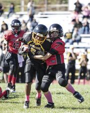 Bulldogs youth football seeing success (PHOTOS)