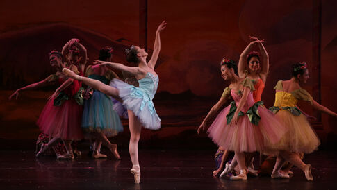 web1_ARB-2014-Nutcracker-Season.JPG