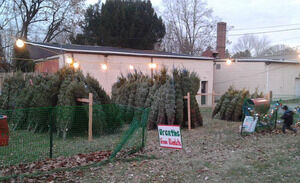 Keepin’ it real this Christmas presented by ERA Central Realty Group