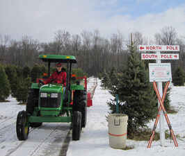 Keepin’ it real this Christmas presented by ERA Central Realty Group