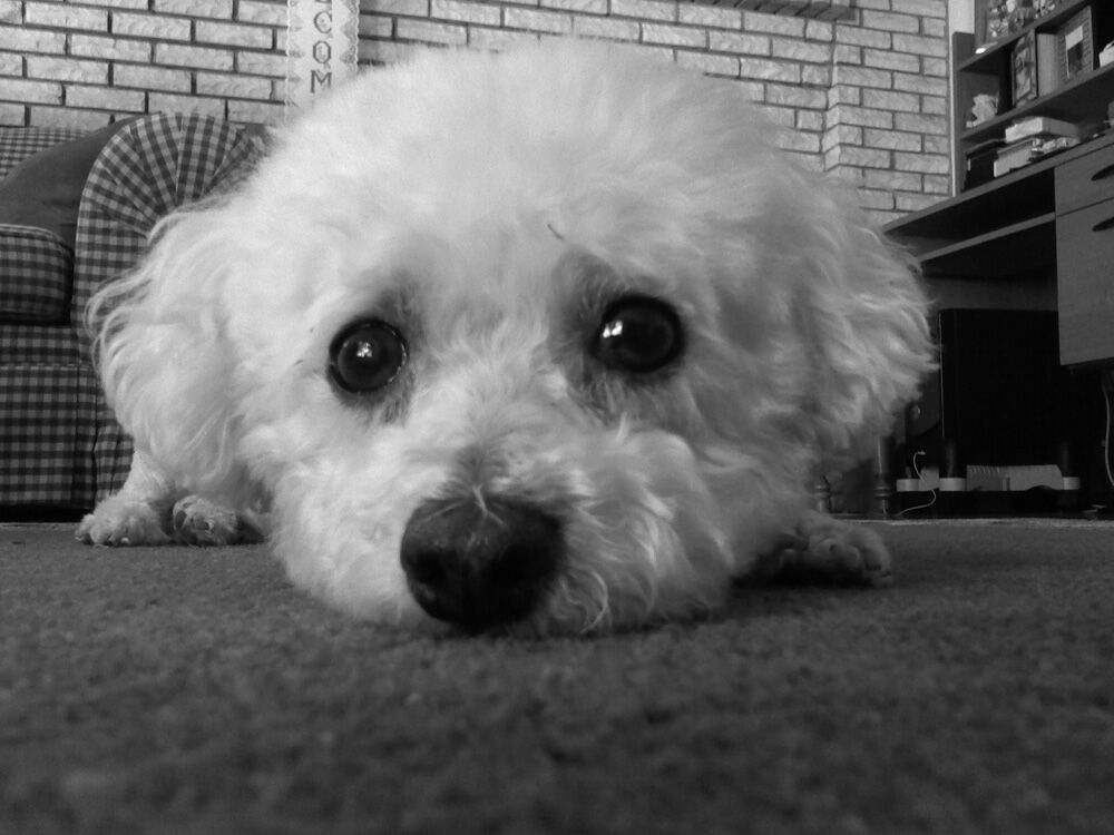 2015 01 HP MFSE_Clancy