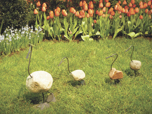 Gardening Adventures: Finding humor in the garden