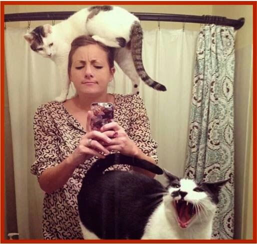 City Cats holding pet selfies photo contest