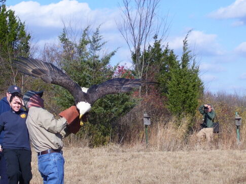 web1_Eagle-release-2008-003.jpg
