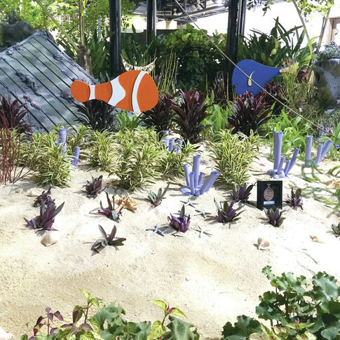 PHS’s Gold Metal plants can brinten your garden