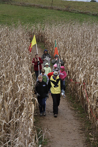web1_Corn-Maze.jpg