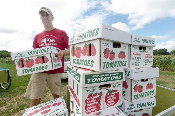 Farmers unite to feed the needy