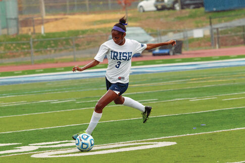 Hamilton duo leads Irish defense