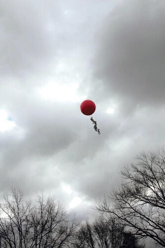 Pining for the perfect tree?