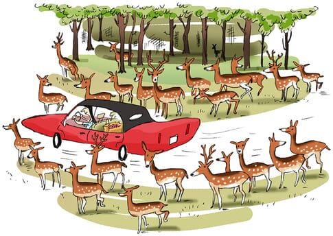 From your grill to ours