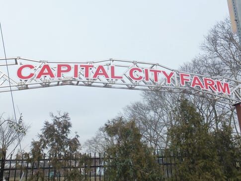 A repurposed sign in the Capital City