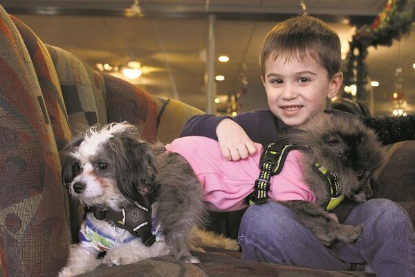 With a little puppy love