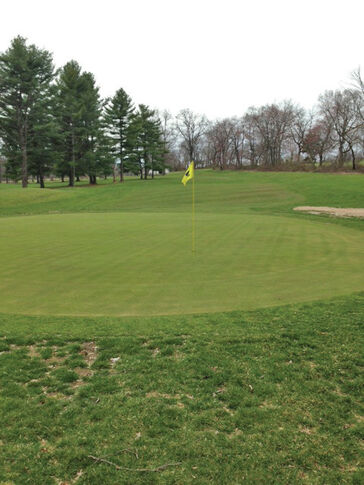 50 years of sunshine at Stony Brook