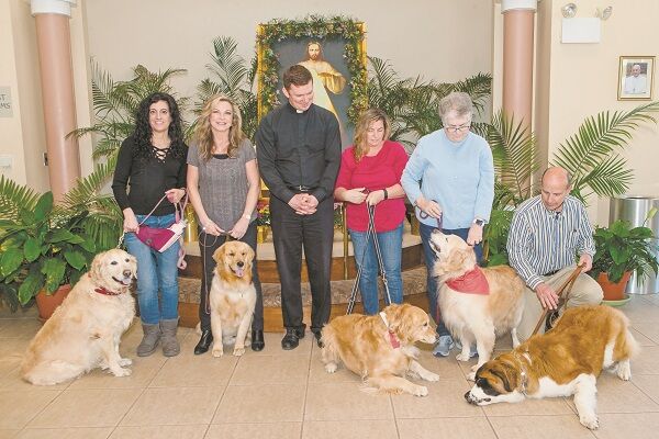 Creature comforts in demand at Golden Halo